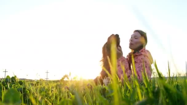 Femme jouant avec chien au coucher du soleil, jeune fille avec animal de compagnie assis sur l'herbe et relaxant dans la nature — Video