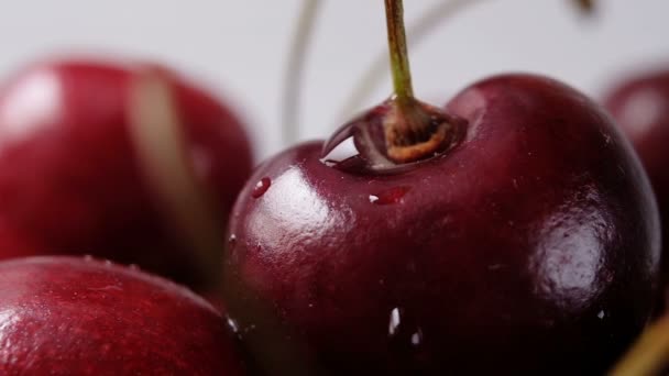 La goutte d'eau coule lentement dans une cerise mûre. Gros plan macro plan, ralenti . — Video