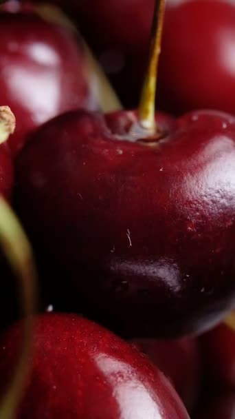 Upuść przepływów wody pięknie i powoli z sweet cherry Berry. Szczelnie-do góry makro strzał, zwolnionym tempie. — Wideo stockowe