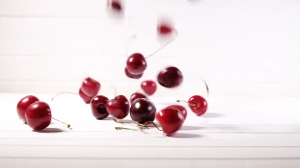 Cherry bessen vallen naar beneden op een witte achtergrond, slow-motion — Stockvideo