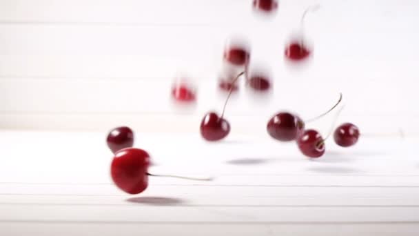 Beaucoup de cerises mûres tombent sur un fond blanc, au ralenti — Video