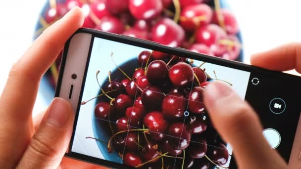 Woman photographing cherry berries on smartphone close-up — Stock Video