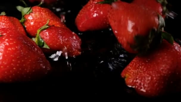 Strawberry falls into the water on a dark background, slow motion — Stock Video