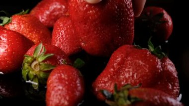 Kadın koyar bir olgun sulu büyük çilek berry suya karanlık bir arka plan üzerinde yakın çekim