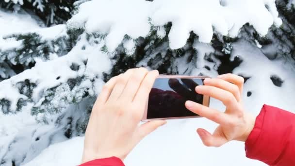 Chica turista tomando fotos en el teléfono de los árboles nevados en el bosque de invierno de cerca — Vídeos de Stock