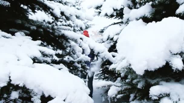 積雪のモミの木の中で陽気な男が歩く、スローモーション、男の頭の上に雪が降る — ストック動画