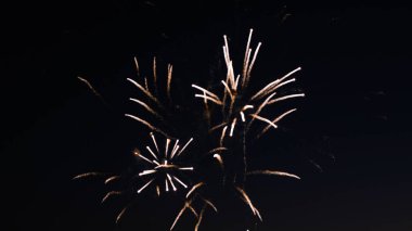 Şehrin gün tatil, üzerinde havai fişek selam gece gökyüzü üzerinde büyük patlamaları. Odak dışında