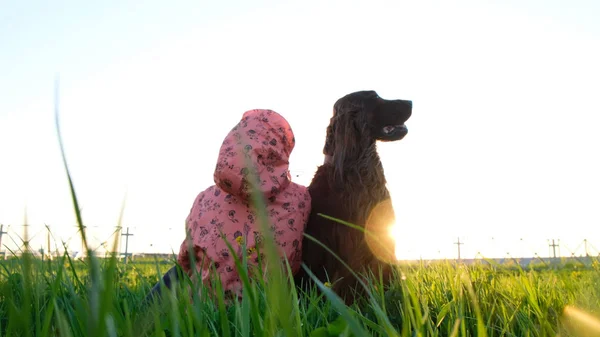 Gehoorzame hond zit nog steeds op het gras met de eigenaar van de vrouw bij zonsondergang in de zomer. Ierse Setter is de beste vriend — Stockfoto