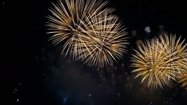 Фейерверки в ночном небе, красочные взрывы фейерверков в честь праздника — стоковое видео