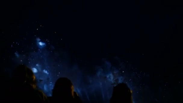 Menschen betrachten das Feuerwerk am Nachthimmel, ein buntes Feuerwerk zu Ehren des Feiertags — Stockvideo