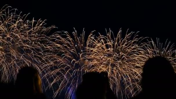 As pessoas assistem fogos de artifício no céu noturno e tirar fotos no telefone, um fogo de artifício colorido em honra do feriado — Vídeo de Stock