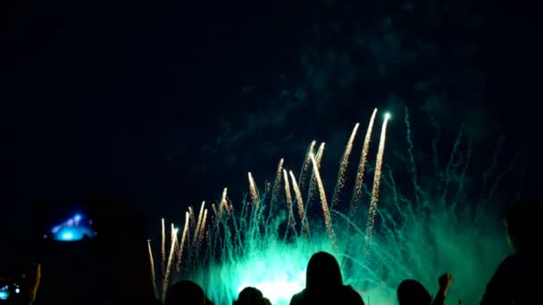 Siluetas de personas con teléfonos en el fondo de un colorido espectáculo pirotécnico. Los espectadores ven fuegos artificiales en unas vacaciones en la ciudad . — Vídeo de stock