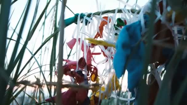 Les ballons jetés sont coincés dans l'herbe. Écologie et pollution, ordures sur la mer — Video