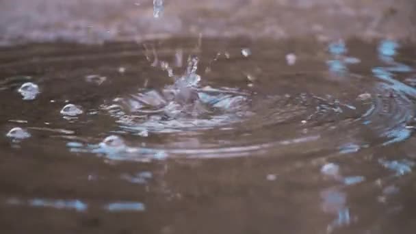 Pulvérisations gouttes goutte à goutte dans la flaque ralenti close-up . — Video