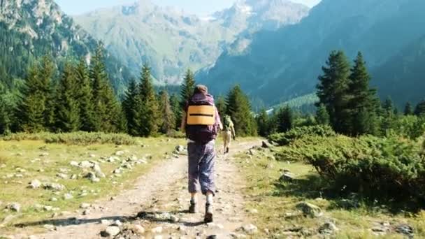 Toeristen met rugzakken lopen wandeltochten in een wandeling tegen de achtergrond van een prachtig berglandschap — Stockvideo