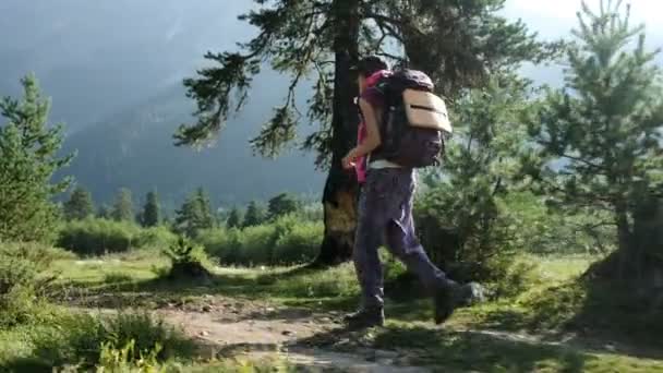 年轻女子徒步旅行靴与背包走在远足反对美丽的山景观, 相机运动 — 图库视频影像