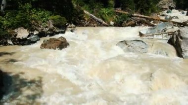 Hızlı, kirli dağ nehir orman alanında. Çamurlu ve hızlı dağ dere