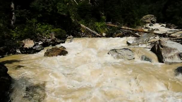 Slow motion vuile berg rivier in een bosrijke omgeving. Modderig en snelle bergbeek — Stockvideo
