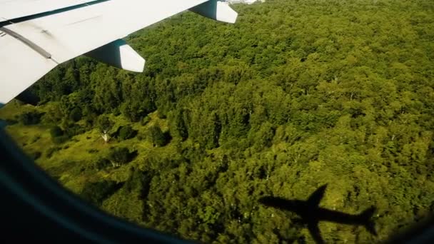 Vliegtuig schaduw vanuit het venster Patrijspoort vliegt over het bos op de overloop, slow-motion. — Stockvideo