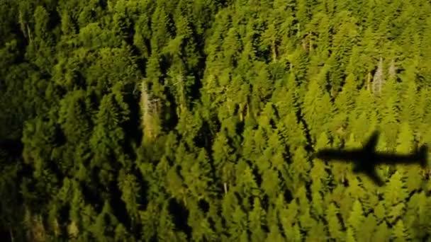 Silhouette et ombre d'un avion survolant une forêt verte, au ralenti . — Video