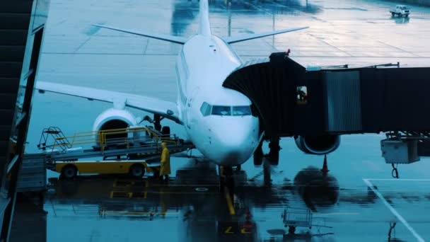 Cargadores del equipaje de carga del aeropuerto en la cinta transportadora a bordo del avión en tiempo lluvioso . — Vídeos de Stock