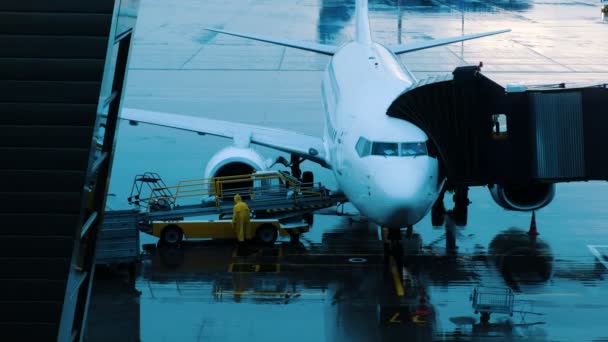 El equipaje se mueve a lo largo de la cinta transportadora hasta el avión en tiempo lluvioso . — Vídeos de Stock