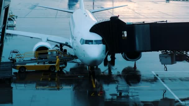 Les bagages se déplacent le long de la bande transporteuse jusqu'à l'aéronef par temps pluvieux. Les passagers entrent dans l'avion — Video