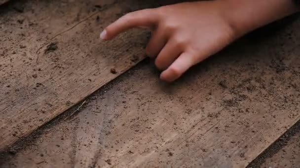孩子玩着一个瓢虫在地板上, 孩子坐在他的手臂上的昆虫特写, 慢动作. — 图库视频影像