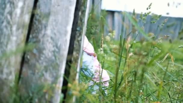 Маленька дівчинка дитина грає в природі, дивлячись з-за паркану і показуючи язик, повільний рух — стокове відео