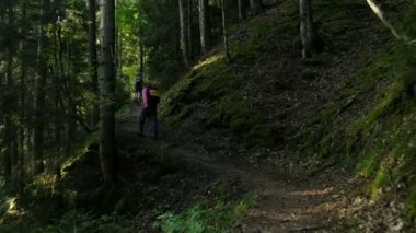 Sırt çantaları turistlerle orman iz pukhodniki yürümek-den geçerek Milli Parkı yaz aylarında sabah şafak tırmanmak. Bir köpek ile kadın tırmanış yapmak