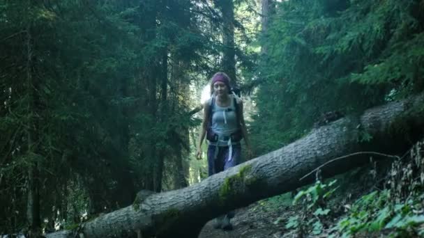 Jonge vrouw toerist met een rugzak stappen over een omgevallen boom in het bos en lacht — Stockvideo