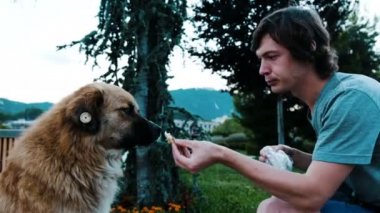 Adam bir yemek bir sokak köpeği bir parça ekmek ile paylaşır. Yontmataş iyi köpek parkta okşayarak adam