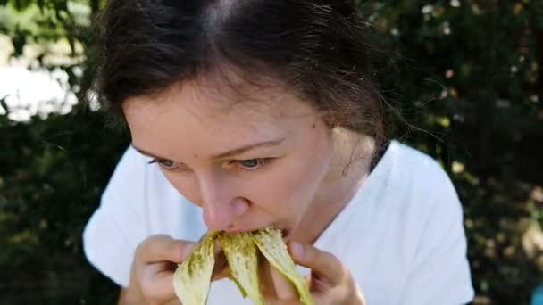 Όμορφη νεαρή γυναίκα τρώει και απολαμβάνει μια ώριμα σύκα σε ένα καλοκαίρι πάρκο γκρο πλαν, αργή κίνηση. — Αρχείο Βίντεο