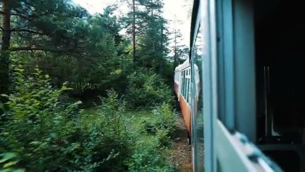 Viaje en el bosque en el ferrocarril de vía estrecha, vista desde la ventana abierta del coche en el verano, cámara lenta — Vídeo de stock