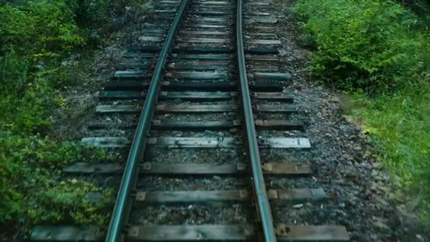 Chemin de fer à écartement étroit, rails et traverses dans la forêt, ralenti — Video