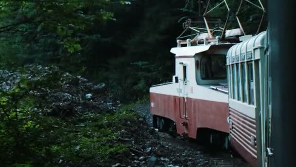 Ταξιδεύουν μέσα στο δάσος, κατά μήκος της σιδηροδρομικής γραμμής στενός μετρητής σε μια παλιά τουριστικό τρένο — Αρχείο Βίντεο