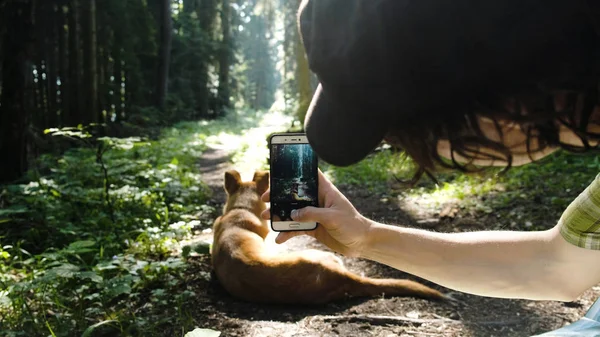 Turista uomo fotografie e scatta una foto di un cane randagio su uno smartphone nella foresta — Foto Stock