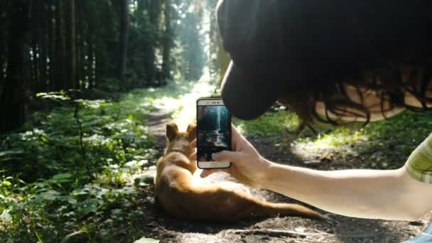 Hombre de turismo fotografía y toma una foto de un perro callejero en un teléfono inteligente en el bosque — Vídeo de stock