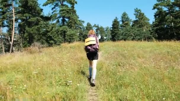 Turista mujer con una mochila caminando en un campo de flores silvestres en un parque nacional en el bosque en el verano — Vídeos de Stock