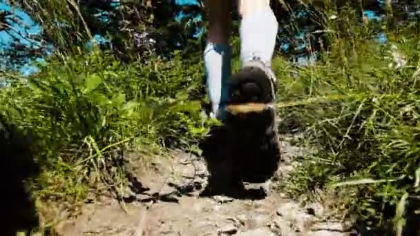 Les jambes des femmes en bottes de trekking et chaussures de golf montent et Idt le long du chemin dans la forêt entre fleurs sauvages dans une randonnée, au ralenti, mouvement de la caméra — Video