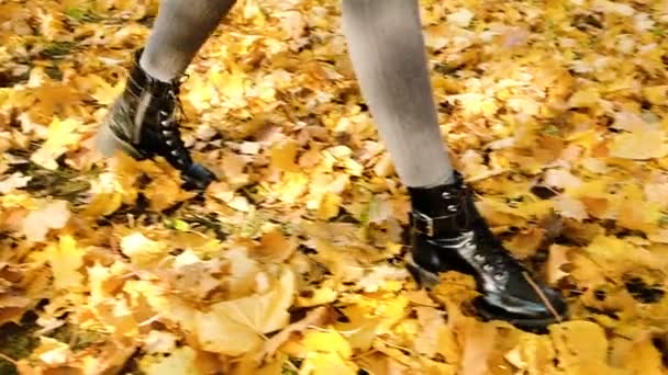 Nőt, sétál a lehullott levelek arany ősz, lassú mozgás — Stock videók