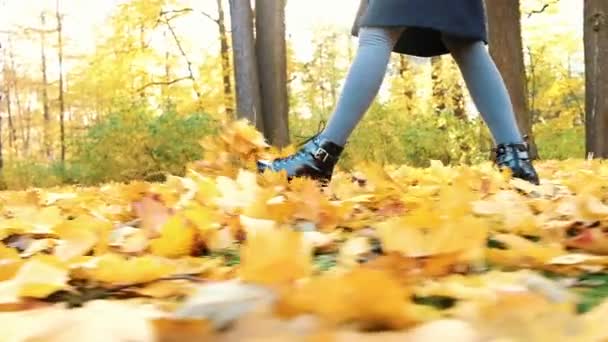 Dames benen lopen op gevallen bladeren in de Gouden herfst, slow motion, camerabewegingen — Stockvideo