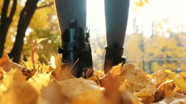 Wazig silhouet van een vrouw die het verlaten van het licht in de herfst in gevallen bladeren, abstractie — Stockvideo