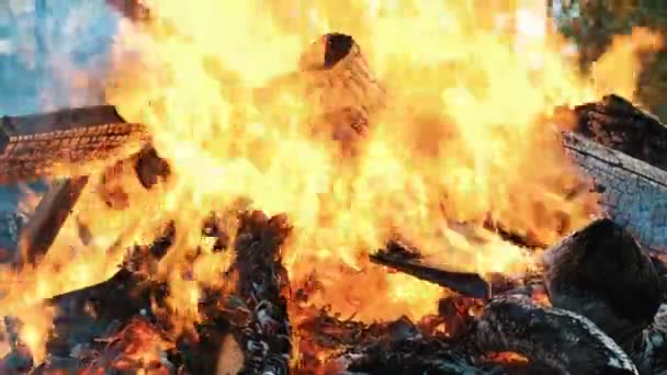 Fogueira queimando na floresta no outono, queimando árvores secas e folhas de perto — Vídeo de Stock