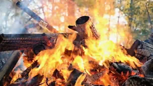 Fogueira arde na floresta no outono, cola no fogo de perto, câmera lenta — Vídeo de Stock