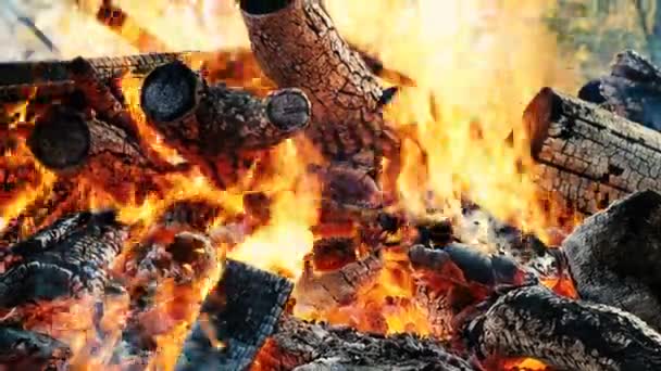 Falò brucia nella foresta in autunno, bastoni e carboni in fiamme da vicino, rallentatore — Video Stock