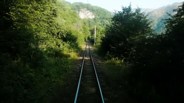 Ferrocarril de vía estrecha en las montañas, carriles en el bosque, cámara lenta — Vídeos de Stock