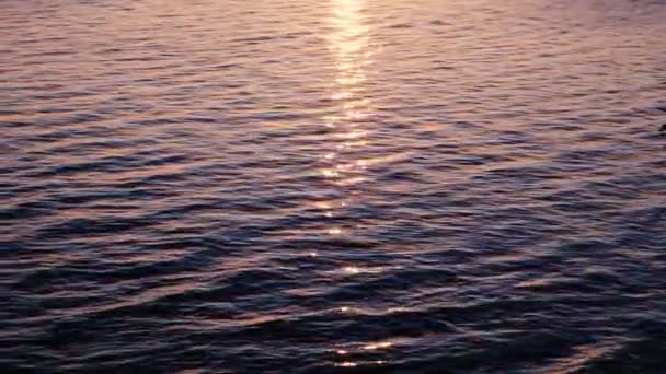 太阳在水中闪耀, 粉红色的日落反映在海浪中 — 图库视频影像