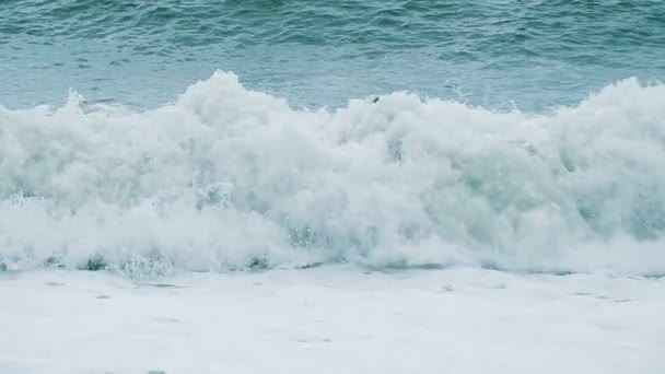 Ευτυχισμένος άνθρωπος αστείο είναι λουσμένο σε μια καταιγίδα στη θάλασσα στα κύματα, αργή κίνηση — Αρχείο Βίντεο