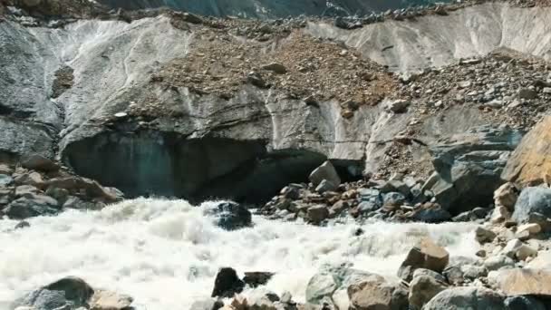 Mountain river flows out from under the glacier in summer — Stock Video